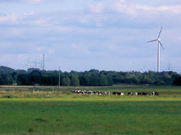 Putlitz in der Prignitz - Wiesen, Wald und Felder