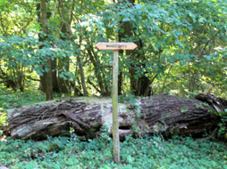 Putlitz in der Prignitz - Wandern Sie in der näheren Umgebung